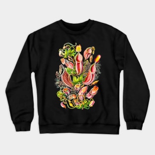 Nepenthes gymnamphora - Botanical illustration Crewneck Sweatshirt